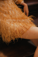 Aurelia Feather Dress